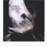The Veil - Limited Edition of 3 by Josey Cary