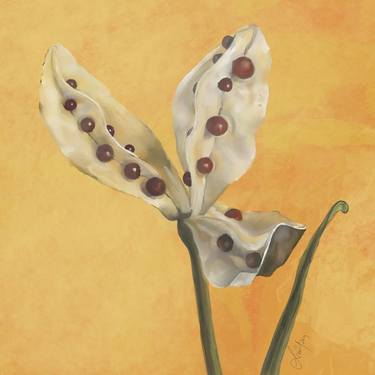 Print of Art Deco Nature Mixed Media by Sunil Abraham