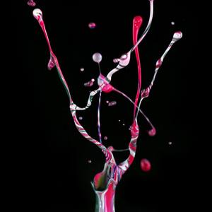 Best of Japanese Contemporary Art