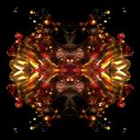 Organic Geometry 2  by Naoko Tosa
