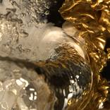 Genesis: Gold  Photography by Naoko TOSA by Naoko Tosa