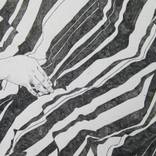 Collection Sara Story (Designer)