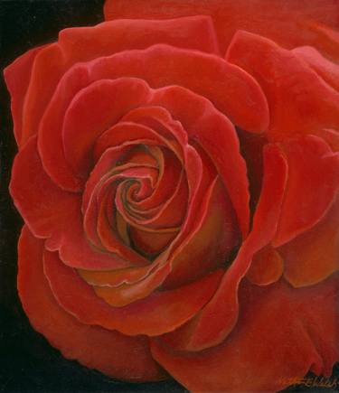 Red Rose image