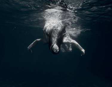 Original Conceptual Water Photography by Monia Marceta