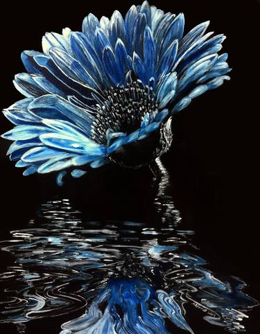 A-Blue Chrysanthemum thumb