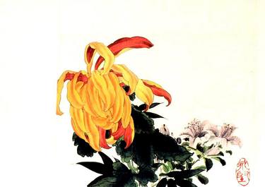 Yellow Chrysanthemum thumb