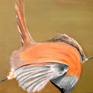 This is an actual screen of a bird uses her best way to drink water from a pond.