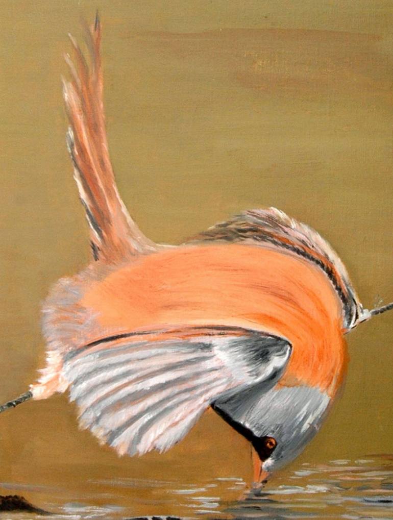Original Other Animal Painting by Clement Tsang