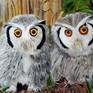 This is a family of four snow owls, At the right hand side are their parents, while two youngsters are at the left hand side.
This is an oil painting on canvas mounted on wooden rack
