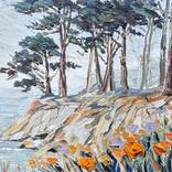 Quiet Cliffside by Lisa Elley