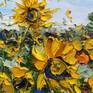 sunflower closeup