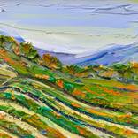 Collection Vineyard Paintings