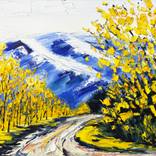 Collection Birch, Aspen & Trees