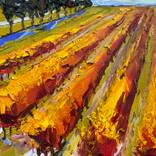 Collection Vineyard Paintings