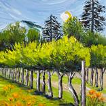Collection Vineyard Paintings