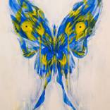Tropic Butterfly by Taku Saito