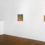 Installation shot by Shawn McGovern