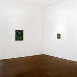 Installation shot by Shawn McGovern