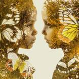 Golden Wings by Christoffer Relander