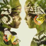 Verdant Wings by Christoffer Relander