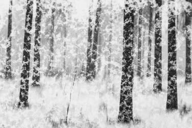 Original  Photography by Christoffer Relander