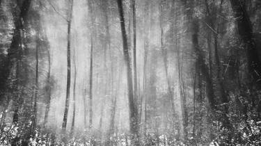 Original Impressionism Nature Photography by Christoffer Relander