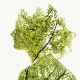 Collection Greenery not all green