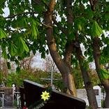 Cemetery. Volgograd. by Leonid Toprover