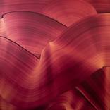 Namib by Christoph Schrein