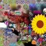 Detail_view3
