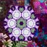 Detail_view_3