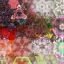 Detail_view2