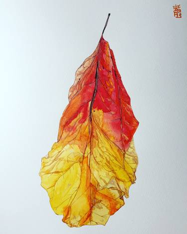 Original Realism Botanic Paintings by Juan Guízar