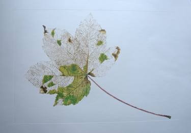 Print of Conceptual Nature Printmaking by Juan Guízar