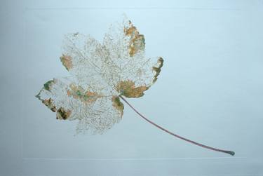 Print of Conceptual Botanic Printmaking by Juan Guízar