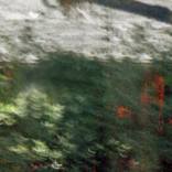 Collection Abstracts