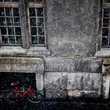 Red Bicycle in Winter - Limited Edition of 10 by sam scott schiavo