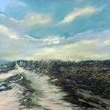WINDSWEPT by Elizabeth Williams