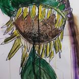 Sun flower by Larry Caveney
