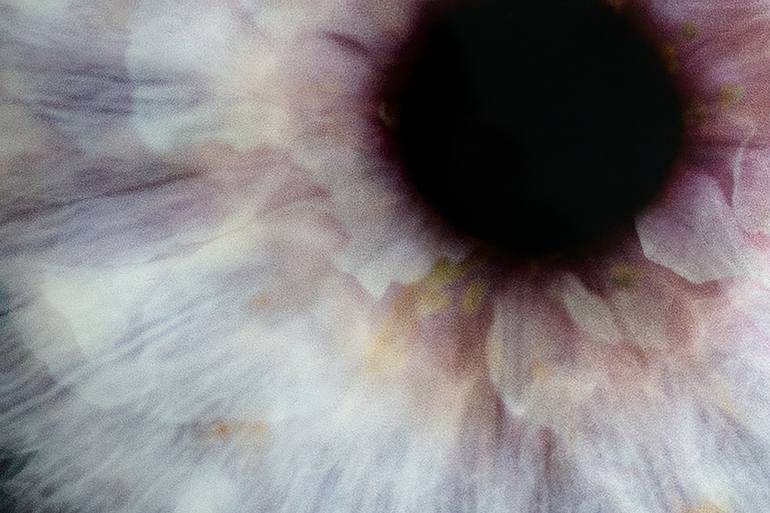 Original Conceptual Nature Photography by Ernesto Romano