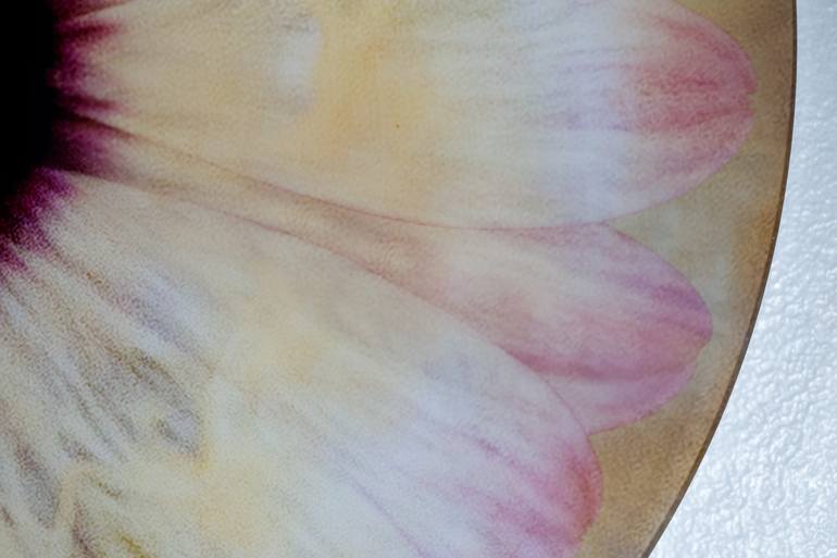 Original Conceptual Nature Photography by Ernesto Romano