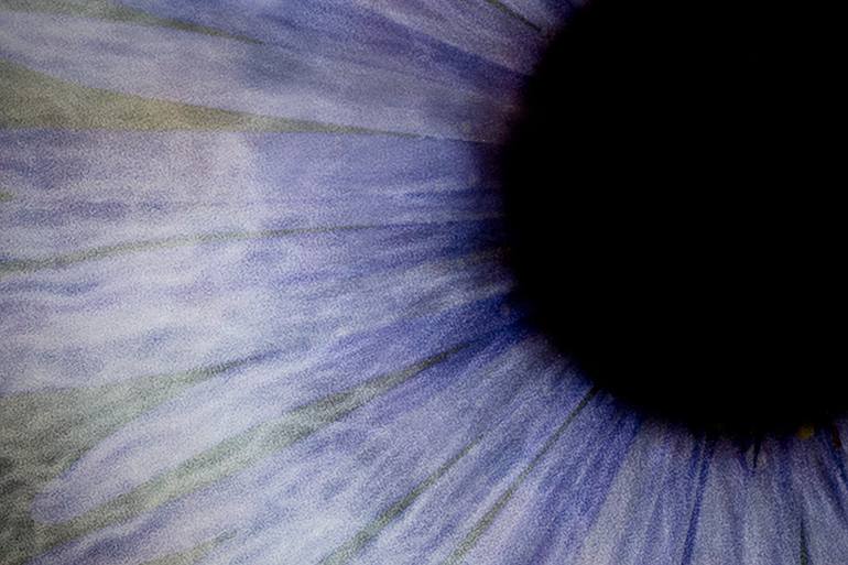 Original Conceptual Nature Photography by Ernesto Romano