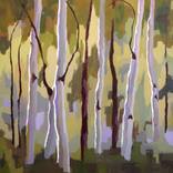 Collection Back to Nature