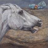 Exhausted by Hans Bertschi