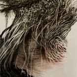 Veins of Seduction by Philippe Briade