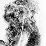 Hybrid Structures by Philippe Briade