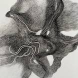 Lines of Becoming by Philippe Briade