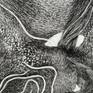 Detail 3