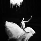 Collection Serge Normant (Celebrity Hairstylist)