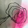 Close-up on 'Desert Rose Of The East'.